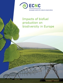 Biofuels Report Biofuels Report