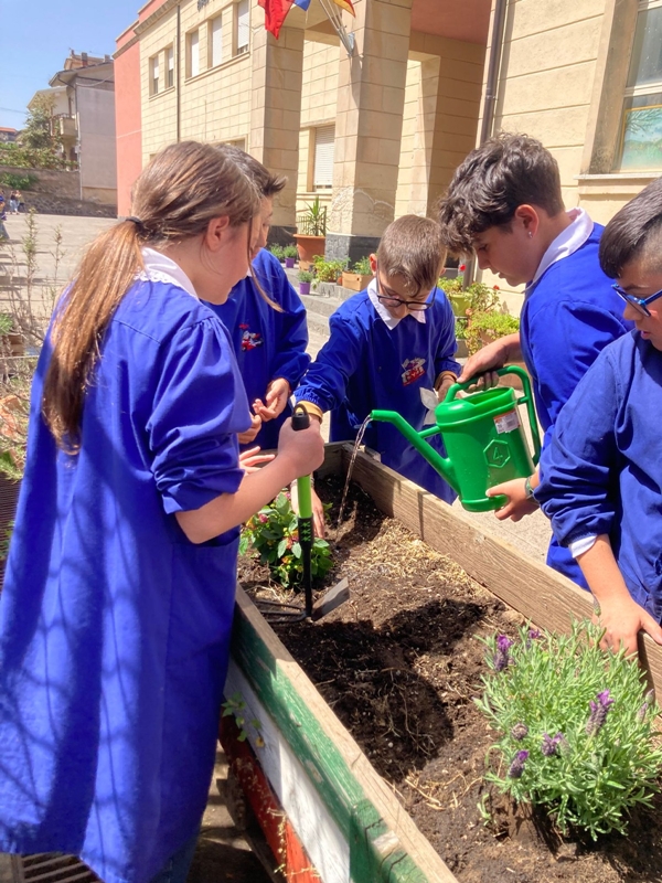 Biochar in the School