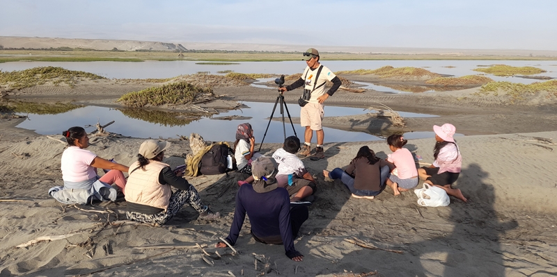 Vogelbeobachtung im Feuchtgebiet (c) AEDES