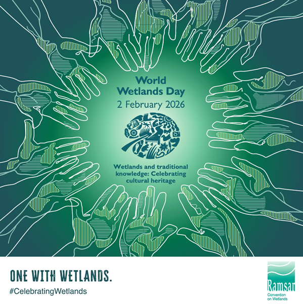 Video World of wetlands 2026