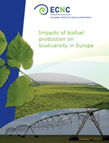 Biofuels Report