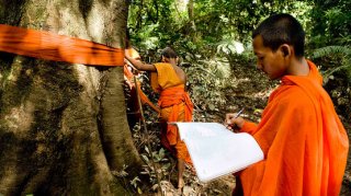 Mönche markieren Bäume im Areng-Tal zu ihrem Schutz. Sie sind in Kambodscha hoch angesehen und wollen diesen Respekt auf die Baumriesen übertragen.