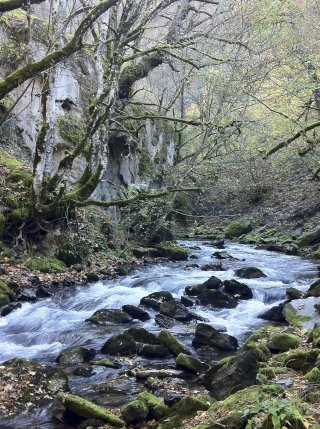 Mala Reka Tal im Mavrovo Nationalpark, Mazedonien
